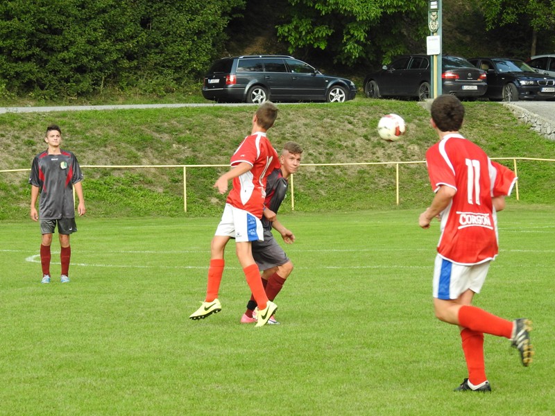 DSCN0979